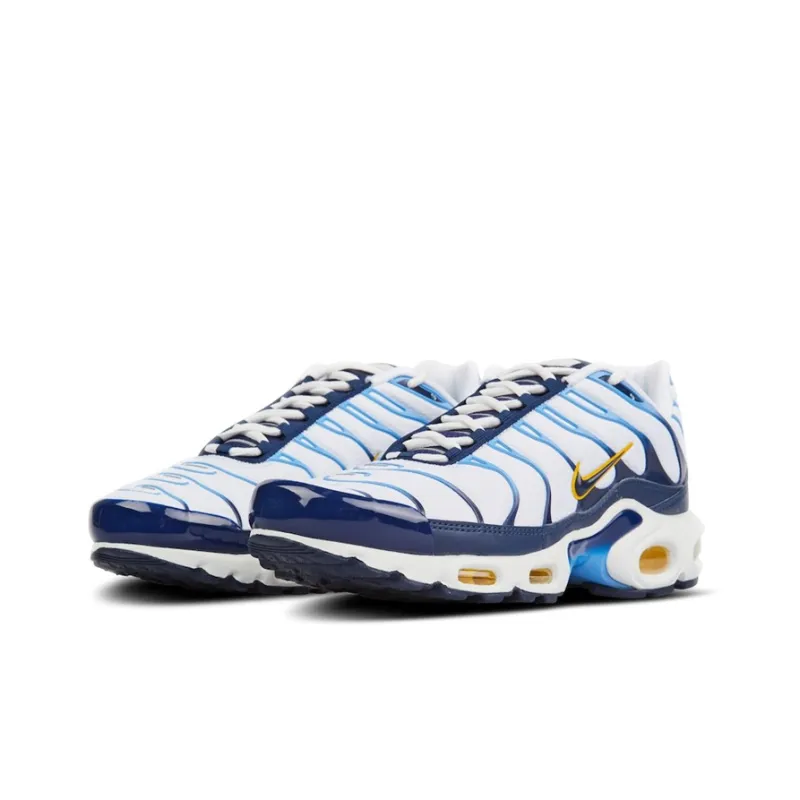 Nike Air Max Plus White Navy Gold-2