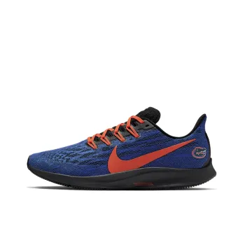 Nike Air Zoom Pegasus 36 Florida