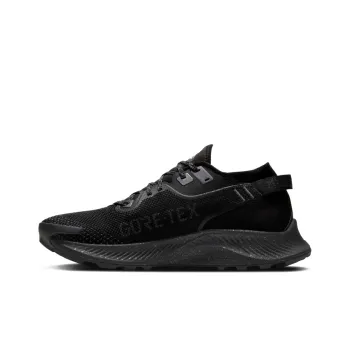 Nike Pegasus Trail 2 Gore Tex Black