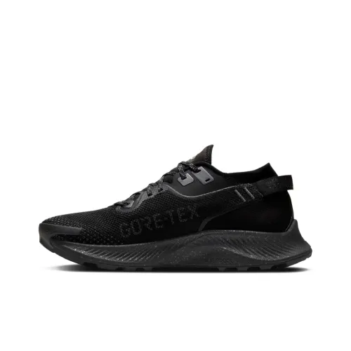 Nike Pegasus Trail 2 Gore-Tex Black