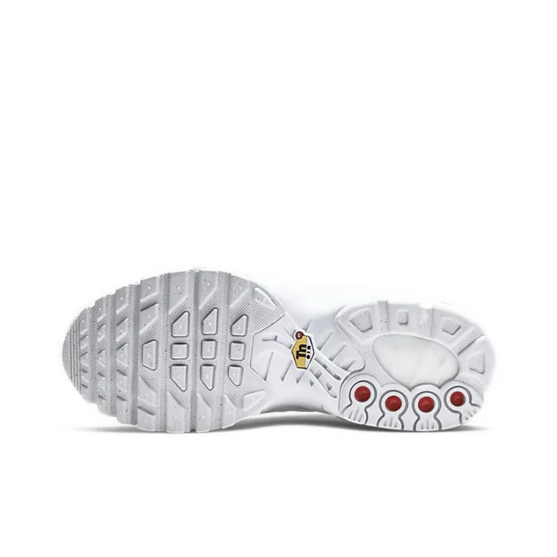 Nike Air Max Plus White Metallic Silver GS-5