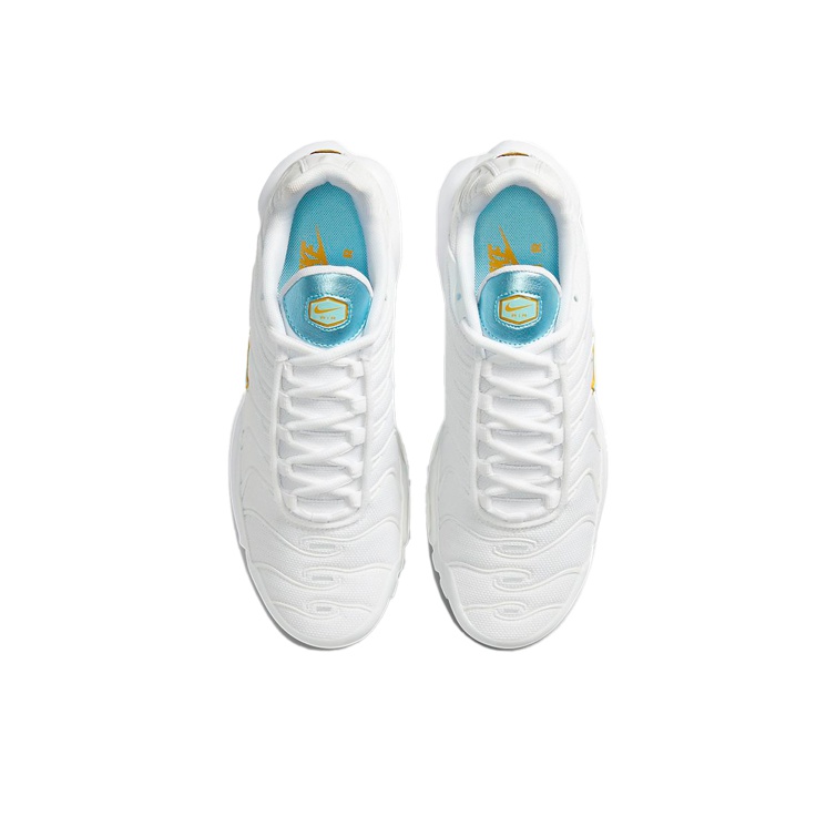 nike air max plus glacier blue