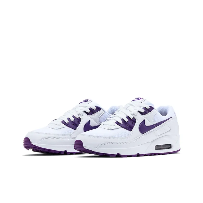 Nike Air Max 90 Color Pack Court Purple-1