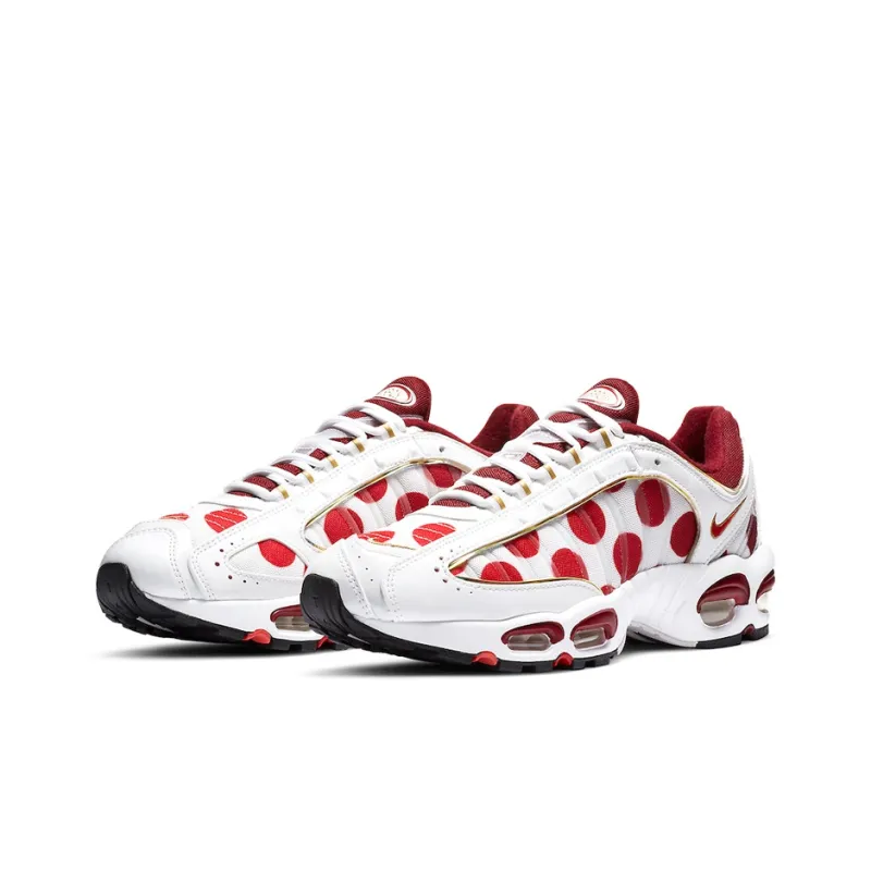 Nike Air Max Tailwind 4 Nippon-2
