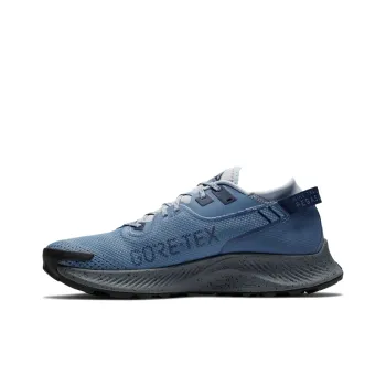 Nike Pegasus Trail 2 Gtx 'Blue Grey'