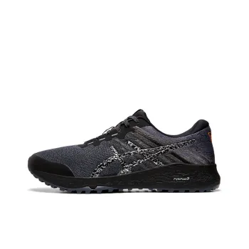 Asics Alpine XT2 Carrier Grey