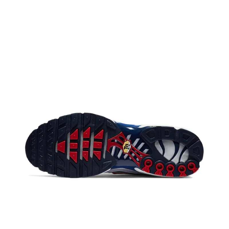 Nike Air Max Plus Euro Tour-5
