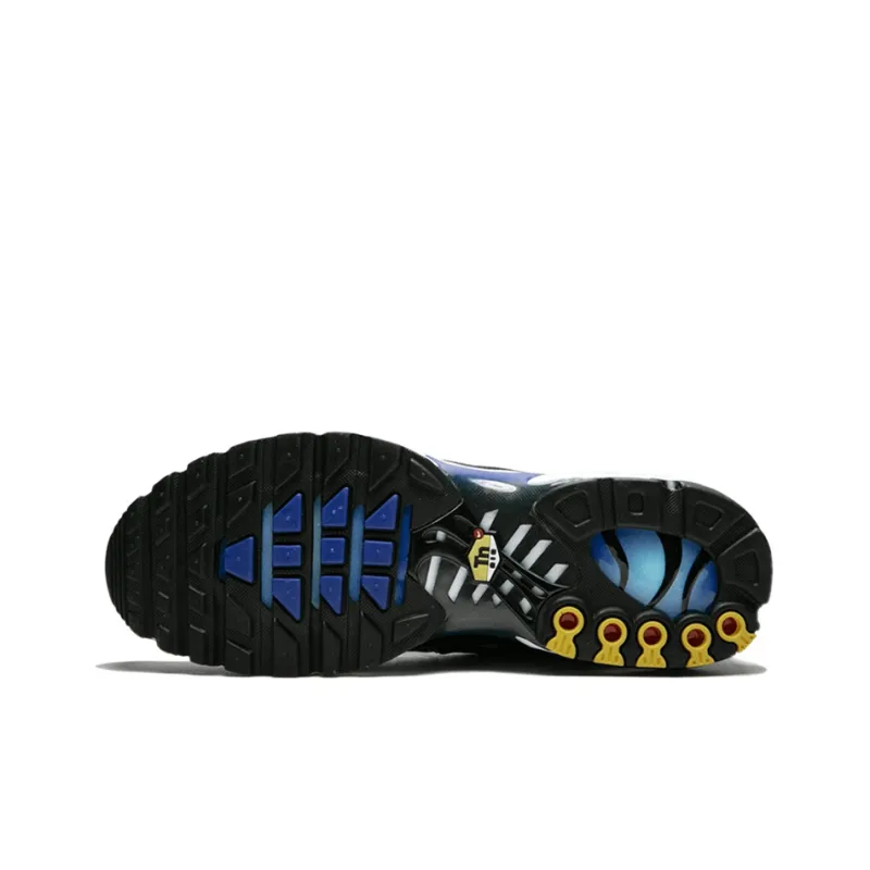Nike Air Max Plus The Shark France-3