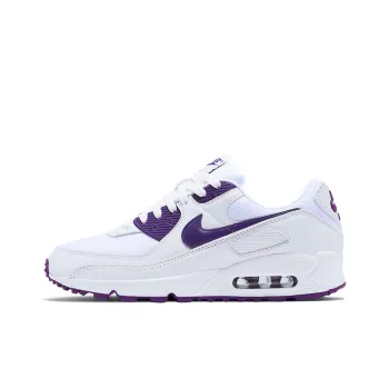Nike Air Max 90 Color Pack Court Purple