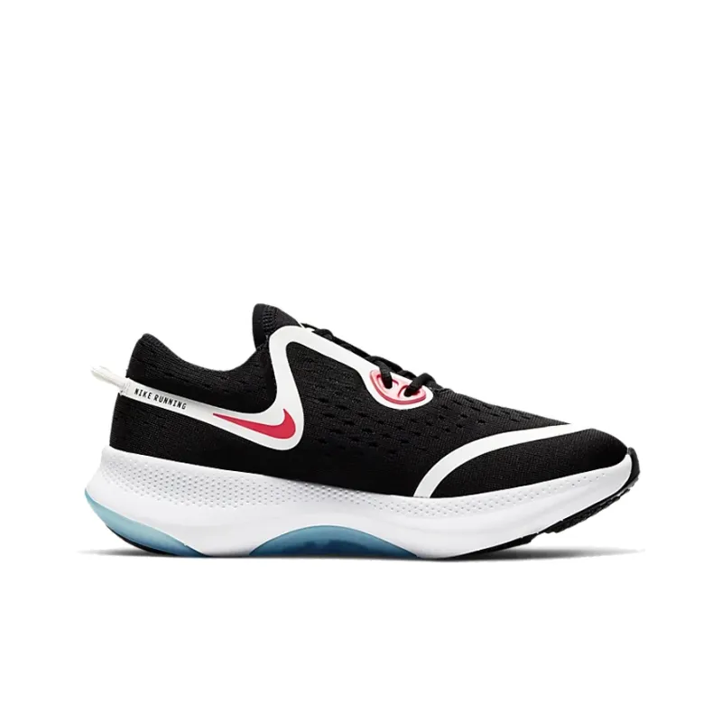 Nike Joyride Dual Run Black Glacier Ice GS-1