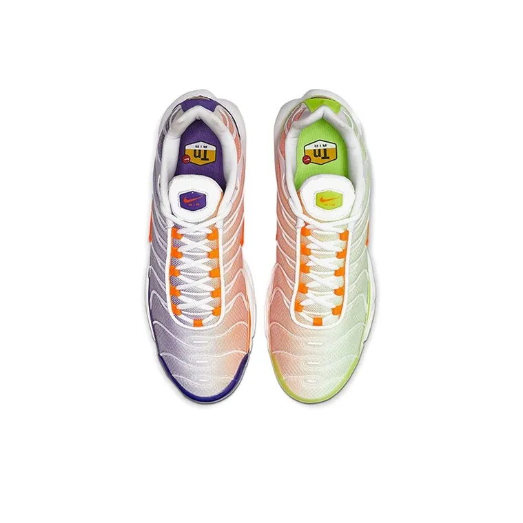 Nike Air Max Plus Color Flip Pack Grape-3