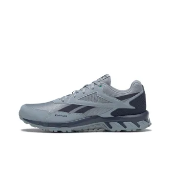 Ridgerider Reebok 5.0 'Meteor Grey'