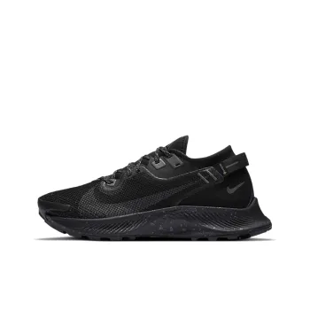 Nike Pegasus Trail 2 Gore Tex Black Metallic Dark Grey Women's