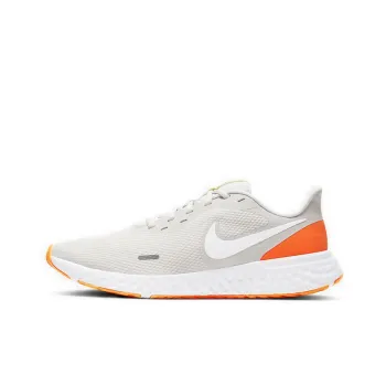Nike Revolution 5 Platinum Tint