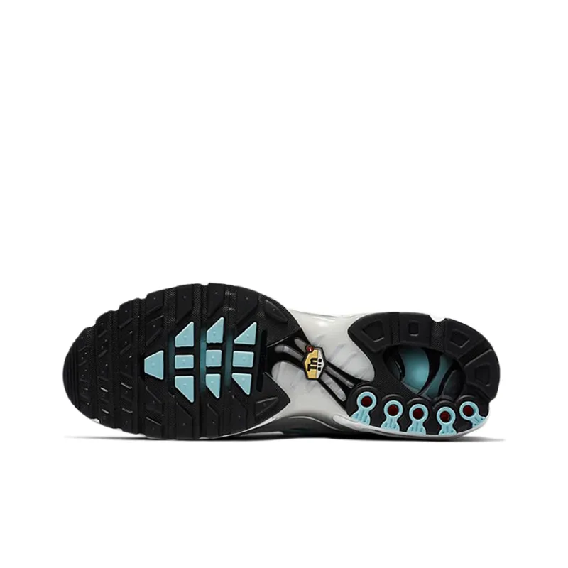 Nike Air Max Plus Light Smoke Grey Glacier Ice-5