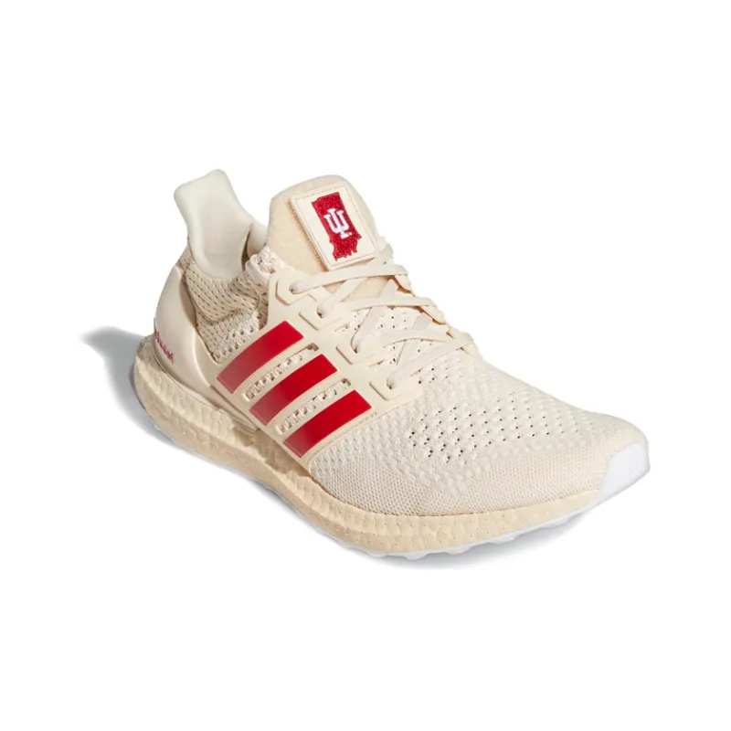 Adidas Ultra Boost 1.0 Indiana-2