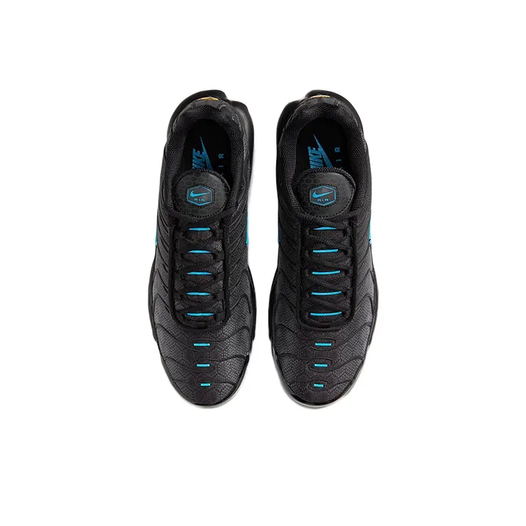 Nike Air Max Plus Black Hex-3