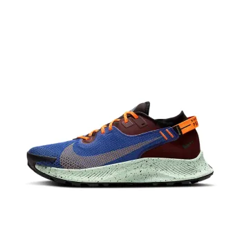 Nike Pegasus Trail 2 Gore Tex Mystic Dates