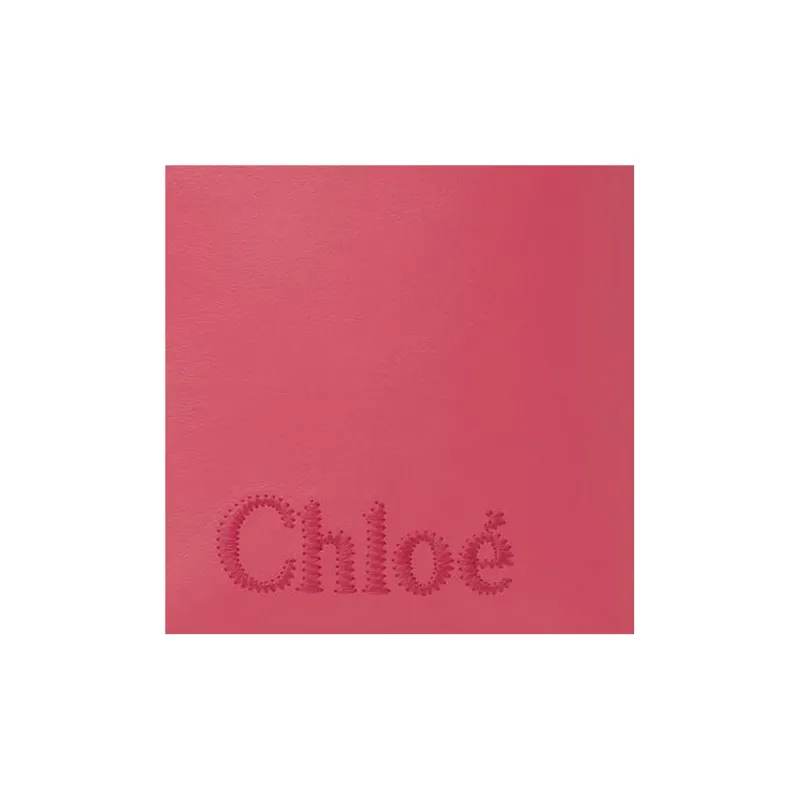 Chloé Handbags-4