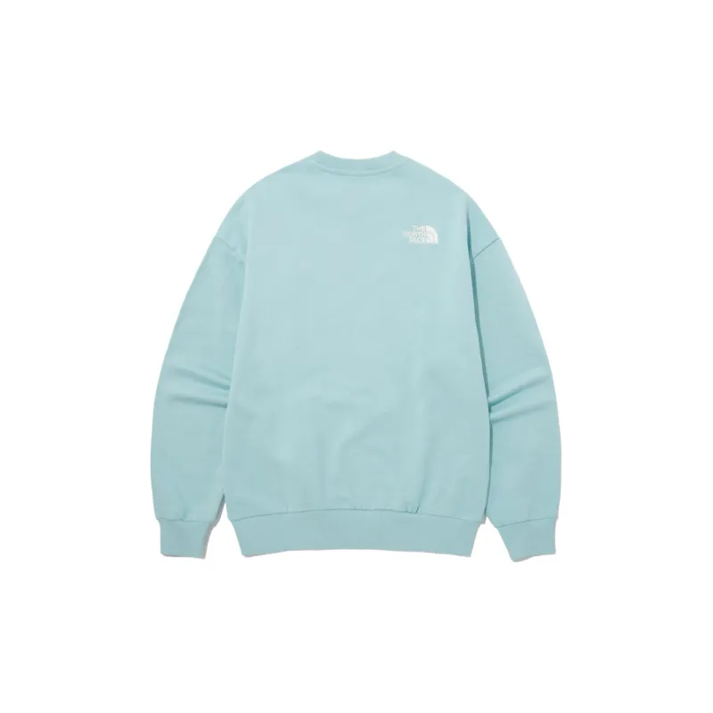 THE NORTH FACE American Sweatshirt Men's Mint Green-1