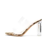 Transparent/Champagne Heel Height 9CM