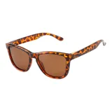 Tortoiseshell Frame with Tea Brown Lens