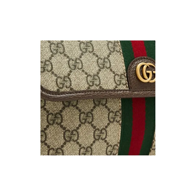 GUCCI Ophidia Fanny Packs-2