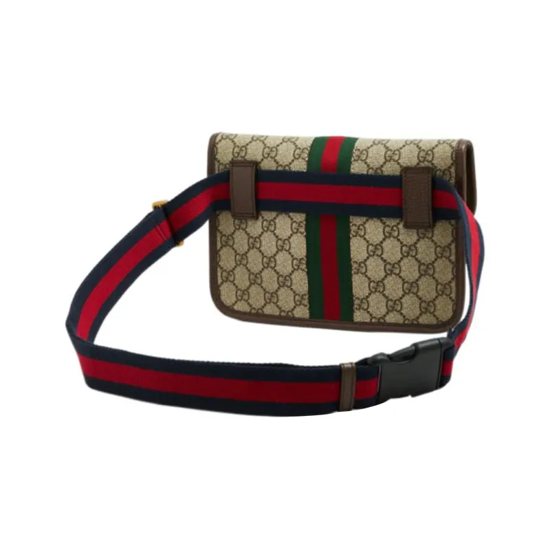 GUCCI Ophidia Fanny Packs-1