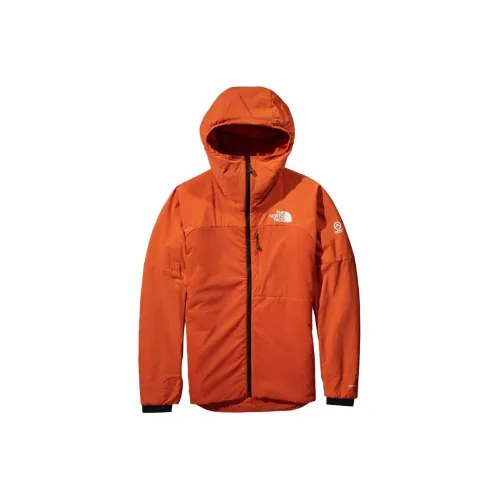 THE NORTH FACE Puffer Jackets Men Burnt Sienna