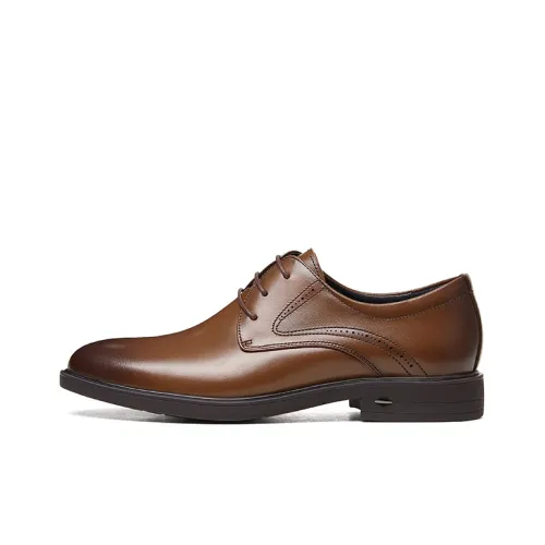 CAMEL Dress Shoes Men Low-Top