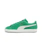Archive Green/Warm White