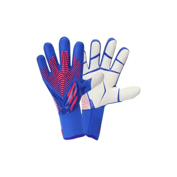 Adidas Goalkeeper Gloves