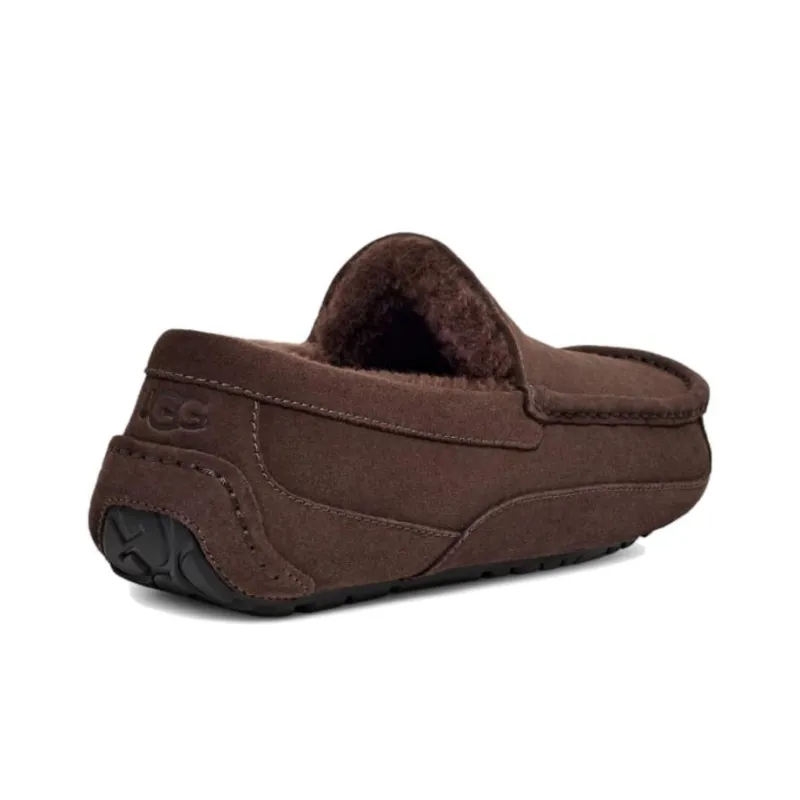 UGG Ascot Slipper Dusted Cocoa-1