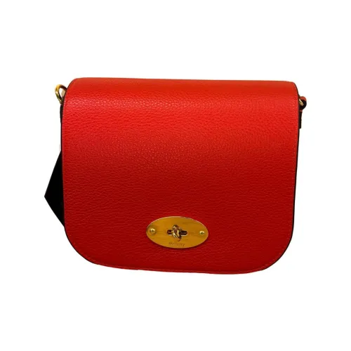 Mulberry Darley Crossbody Bags