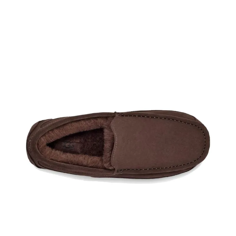UGG Ascot Slipper Dusted Cocoa-2