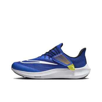 Nike Air Zoom Pegasus 39 FlyEase Extra Wide 'Racer Blue Sundial'