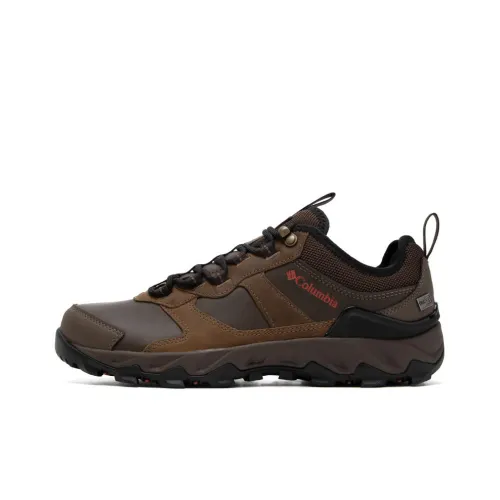 Columbia Hiking / Trekking Shoes Men Low-Top Brown