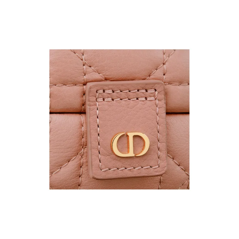 DIOR Earphone Cases-5