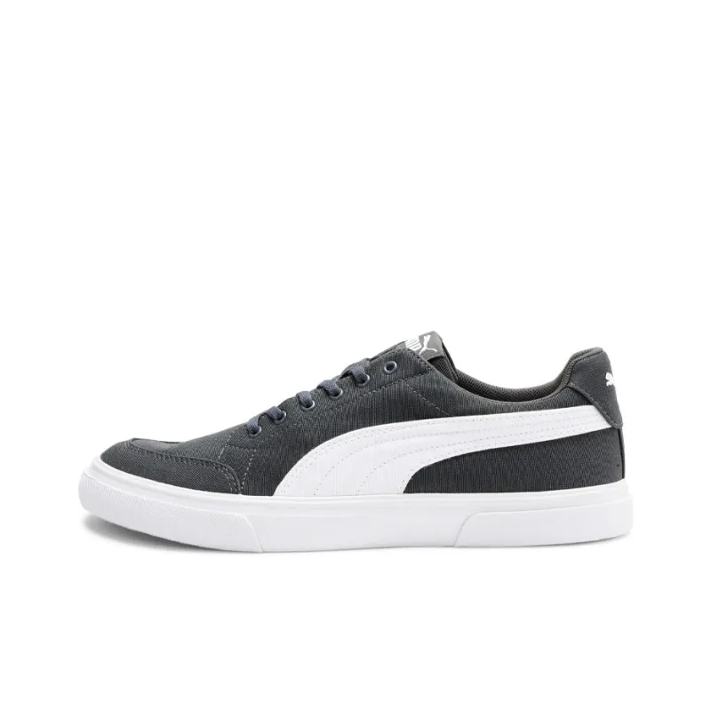 PUMA Acrux Skateboard Shoes Men Low-Top Gray-0