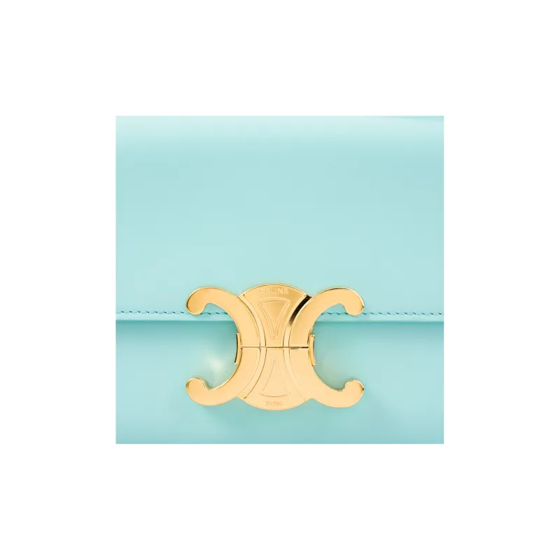 CELINE Shiny Cow Leather Shoulder Bag, Handbag, Shoulder Bag Women's Mint Green-4