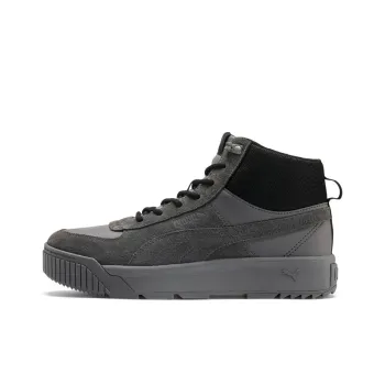 PUMA Tarrenz Sb Sneakers Grey