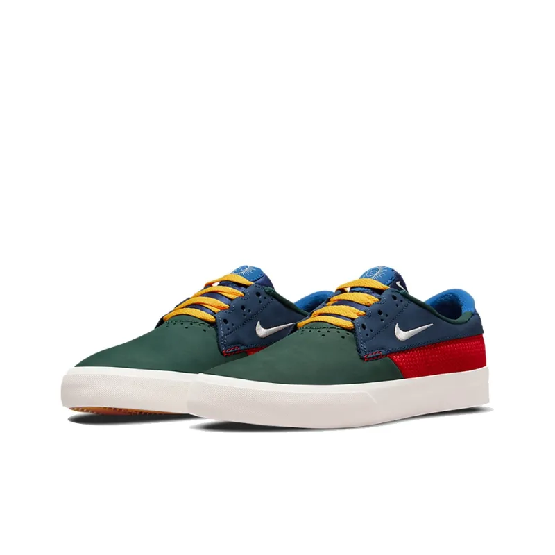 Nike Sb Shane Multicolor-2