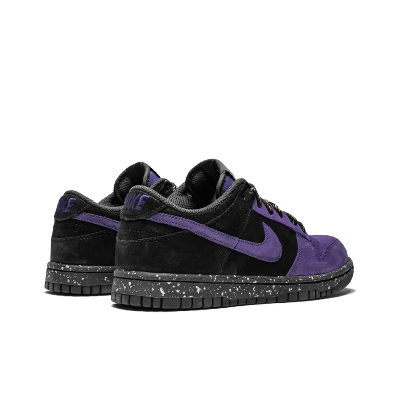 Nike Dunk Cl Varsity Purple-3