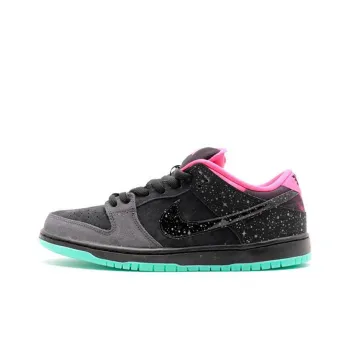 Nike Sb Dunk Low Premier Northern Lights