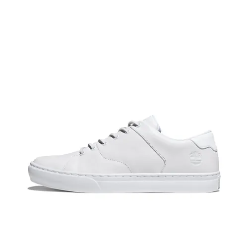 Timberland Adventure 2.0 Anti-Slip Wear-Resistant Low-Top Skateboard Shoes Men's White