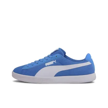 PUMA Archive Lite Skateboard Shoes Men Low-Top Blue