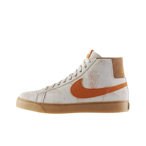 Nike SB Blazer Canvas Light Brown