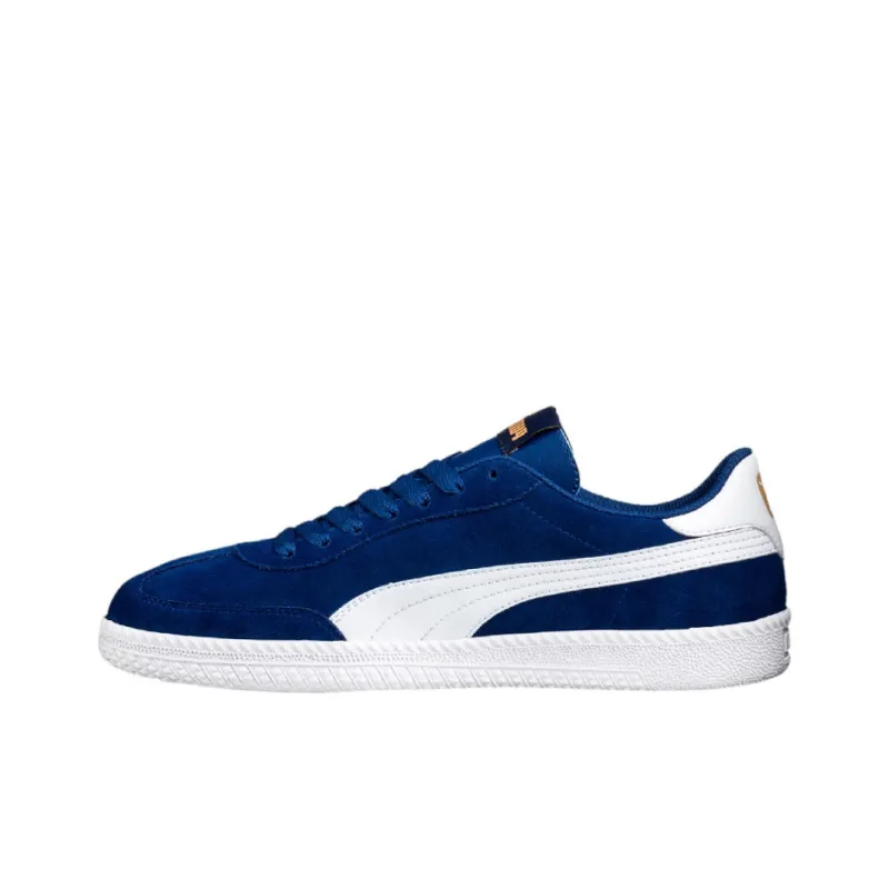PUMA Astro Cup Skateboard Shoes Unisex Low-Top Blue-0