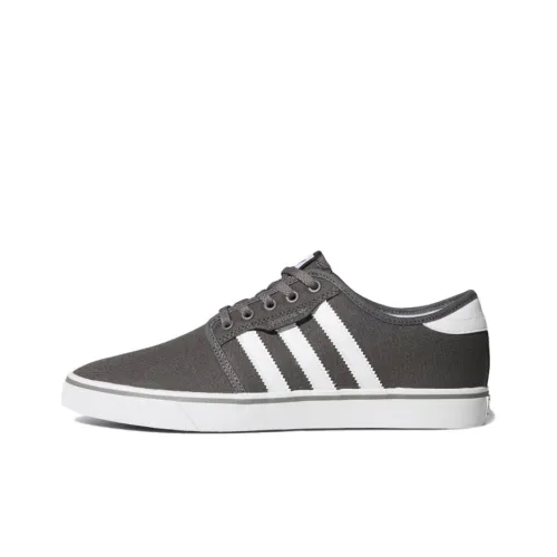 Adidas Originals Seeley Skateboard Shoes Unisex Low-Top Gray/White