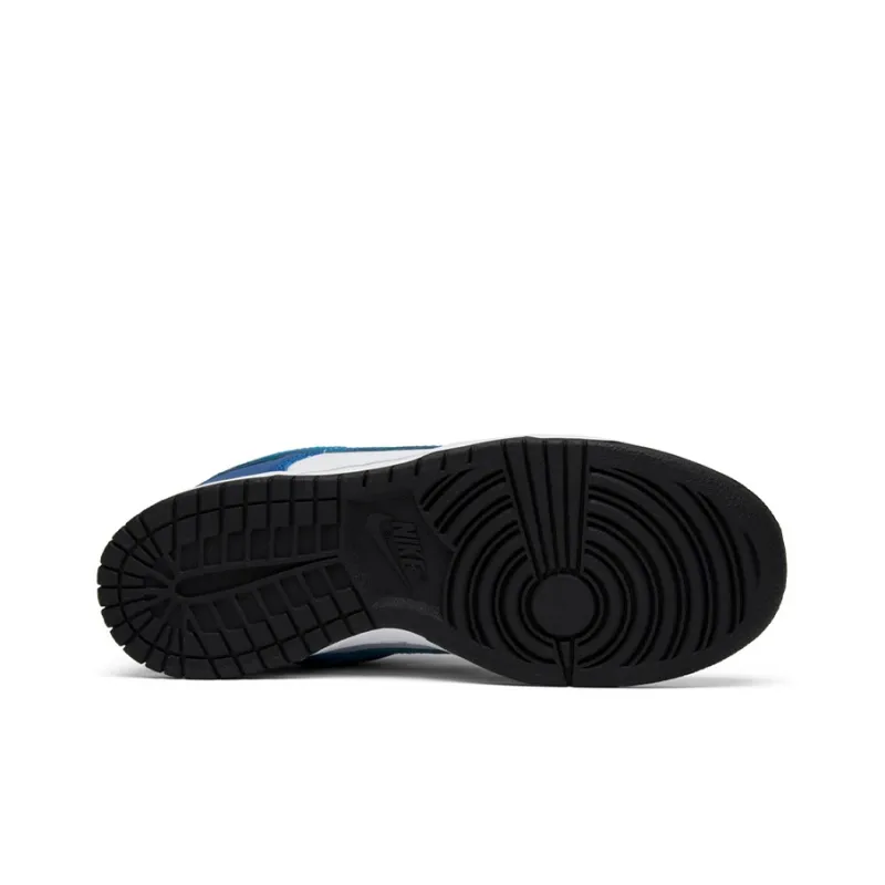 Nike Sb Dunk Low Neptune-5